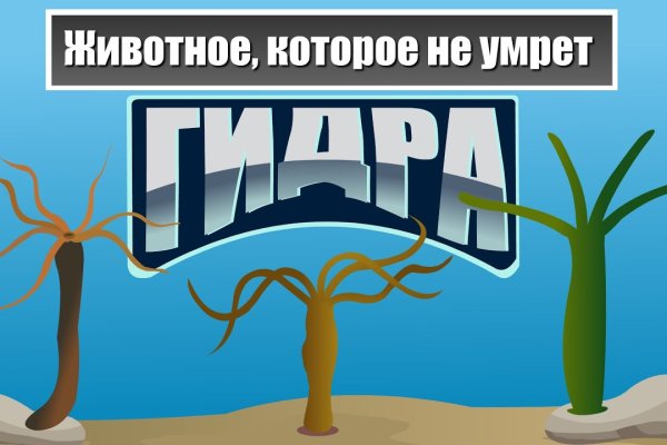 Как зайти на mega через tor